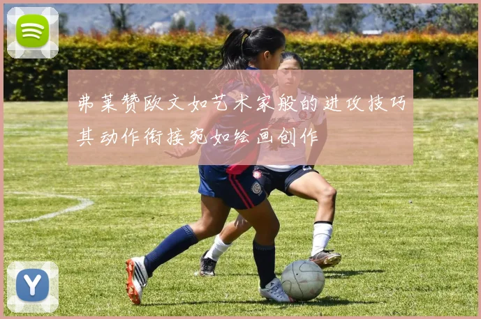 弗莱赞欧文如艺术家般的进攻技巧其动作衔接宛如绘画创作